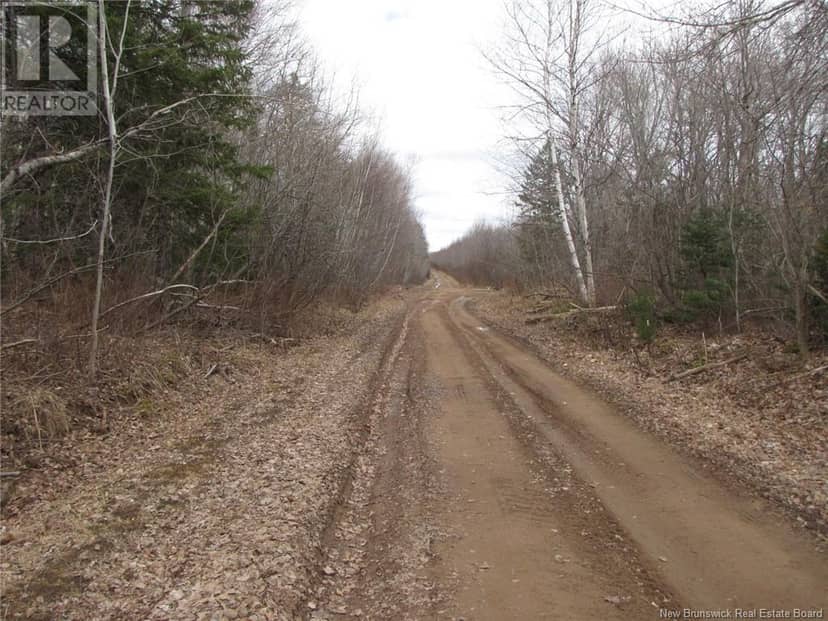 N/A Ch Pellerin Road — photo 6 of 6