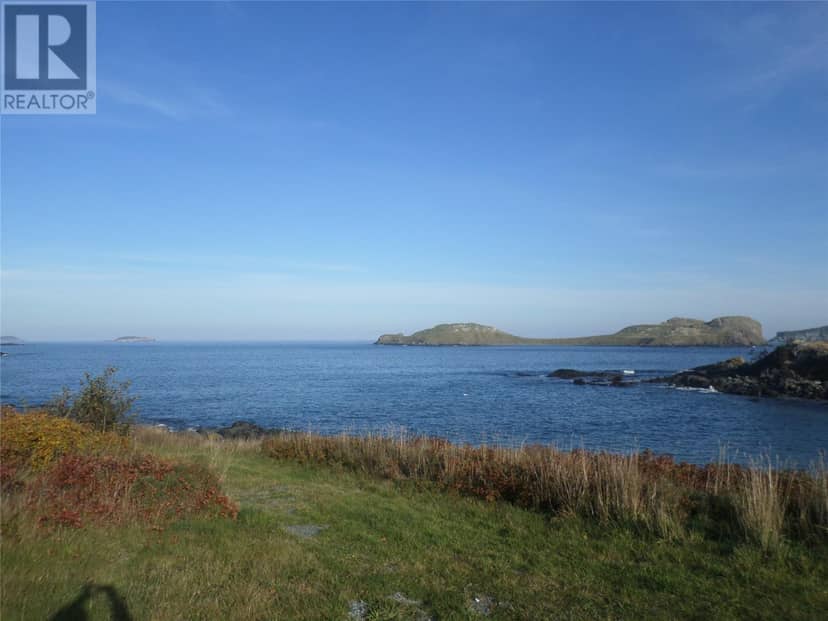 25-37 Mullowney's , Gallows cove Road, Witless Bay, photo 5