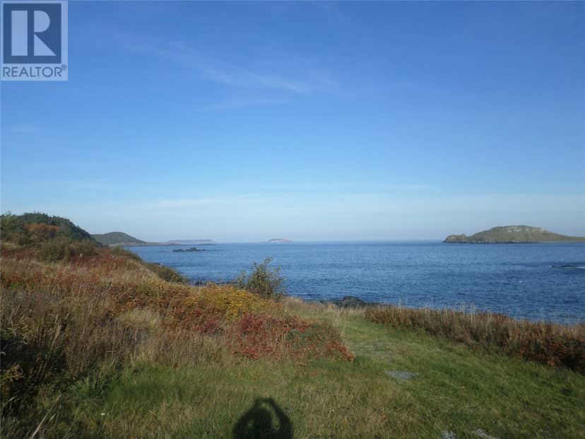 25-37 Mullowney's , Gallows cove Road, Witless Bay, photo 7