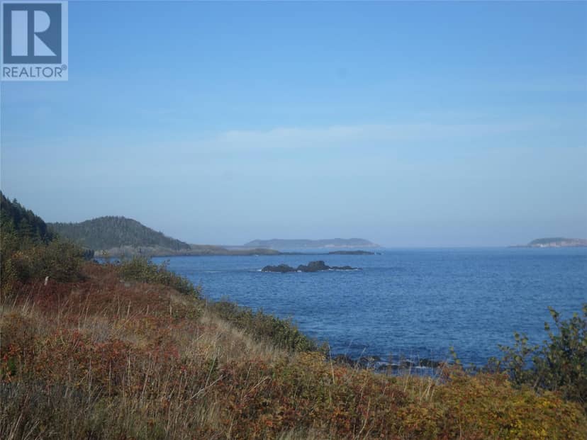 25-37 Mullowney's , Gallows cove Road, Witless Bay, photo 4