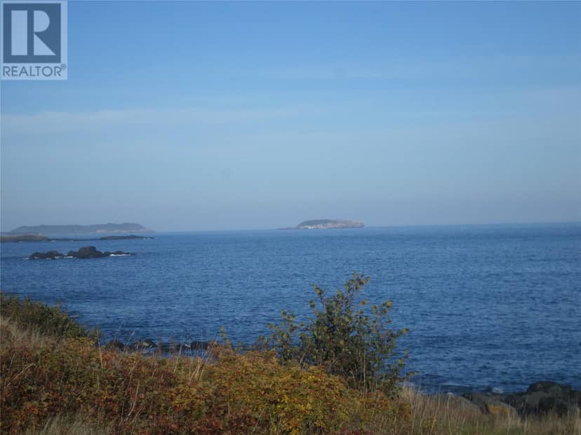 25-37 Mullowney's , Gallows cove Road, Witless Bay, photo 3