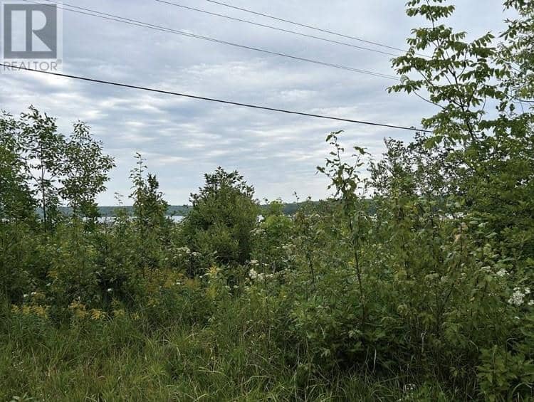 Lot 31 Cardwell Street, Manitowaning, Manitoulin Island, photo 8