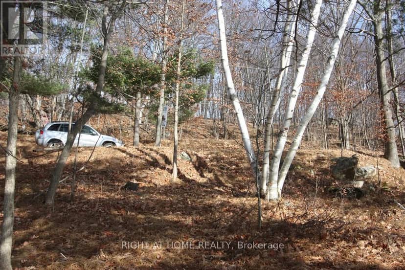 00 Hopper Lane, Rideau Lakes, photo 2