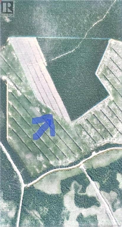 61 acres Crown Land — photo 2 of 3