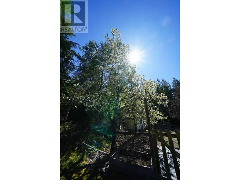 425 Alexander Road, Procter, photo 5