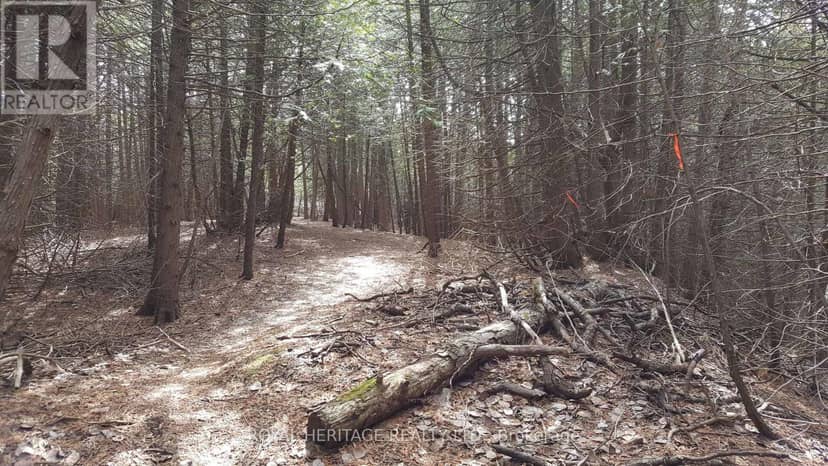 1855 Stevenson Road N — photo 4 of 10