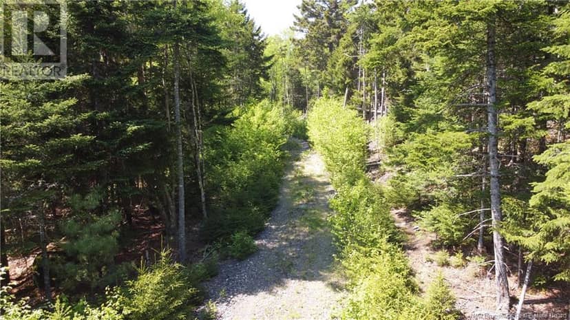 0 Shore Road — photo 17 of 26