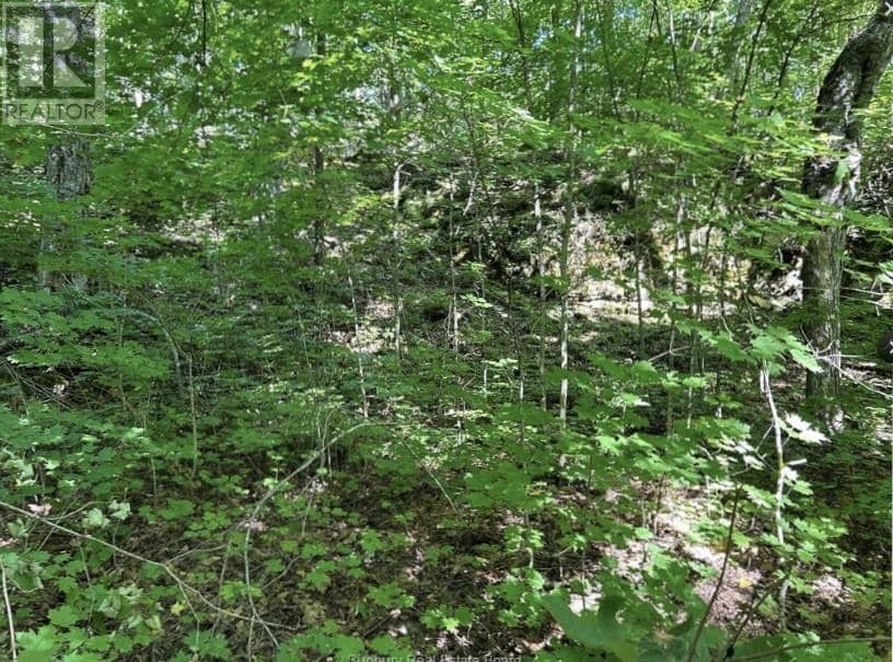N/A Monument Road — photo 15 of 15