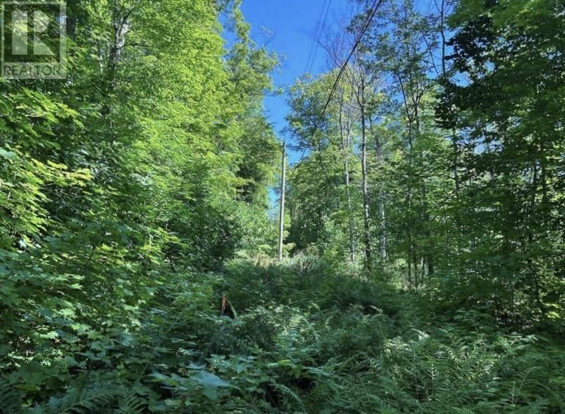 N/A Monument Road — photo 8 of 15
