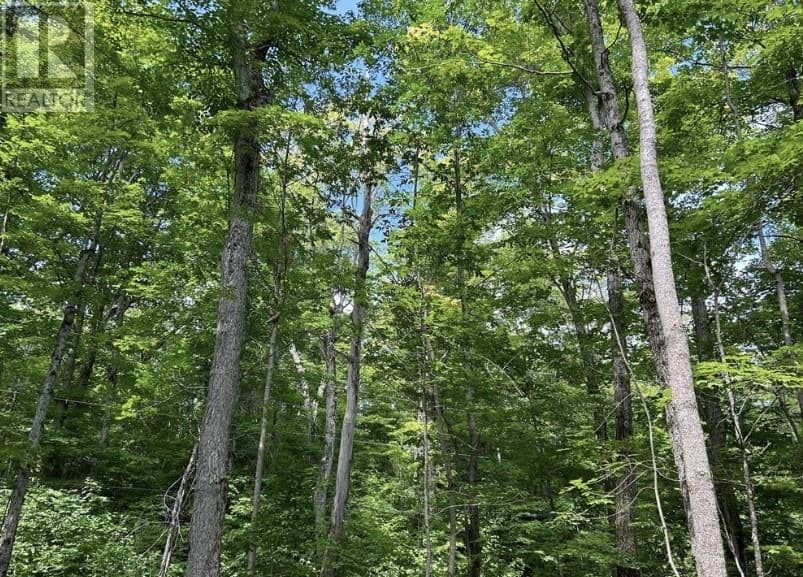 N/A Monument Road — photo 9 of 15