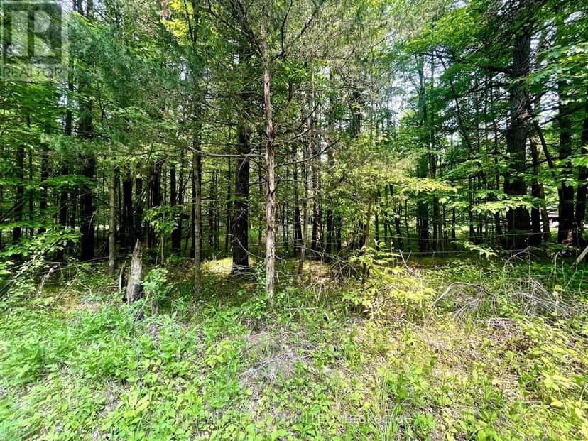 P7 Clear Lake Road — photo 2 of 7