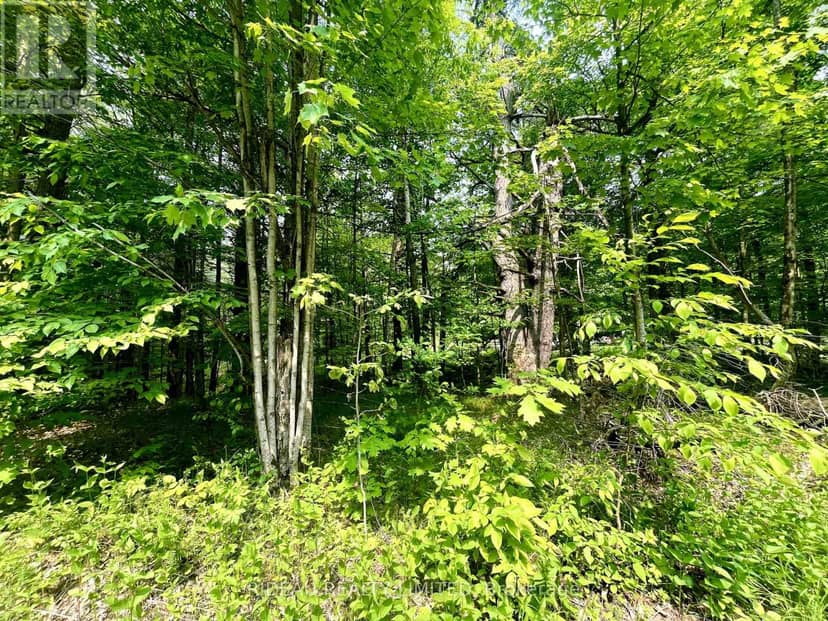 P7 Clear Lake Road — photo 3 of 7