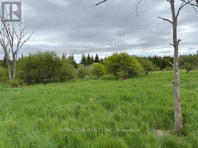 104264 Grey Road 18 — photo 10 of 17