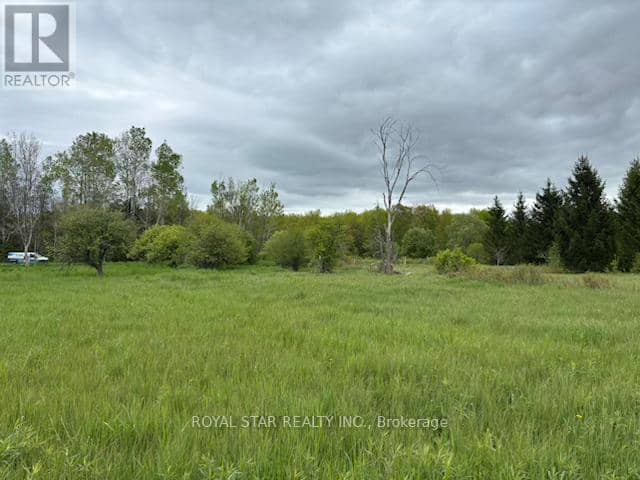 104264 Grey Road 18 — photo 12 of 17