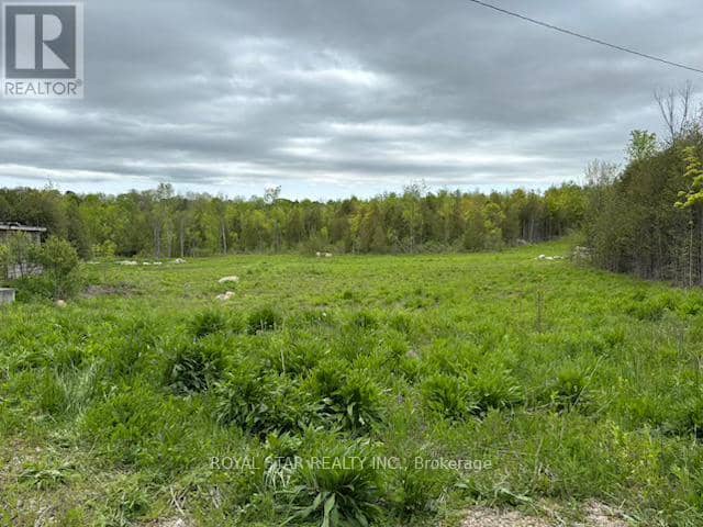 104264 Grey Road 18 — photo 13 of 17
