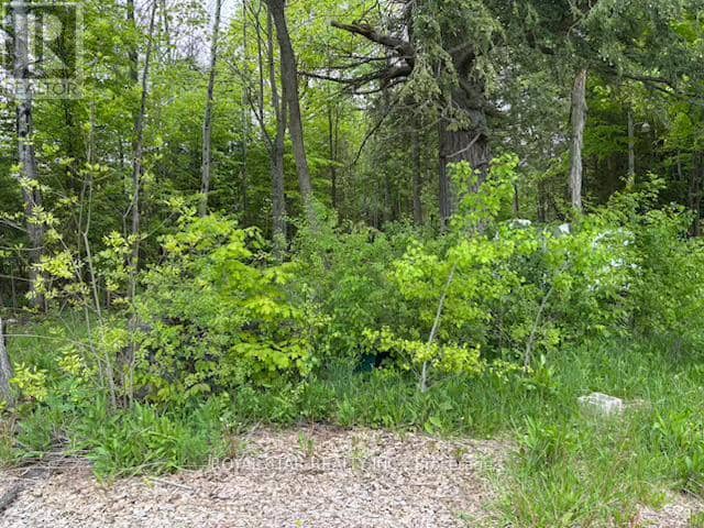 104264 Grey Road 18 — photo 14 of 17