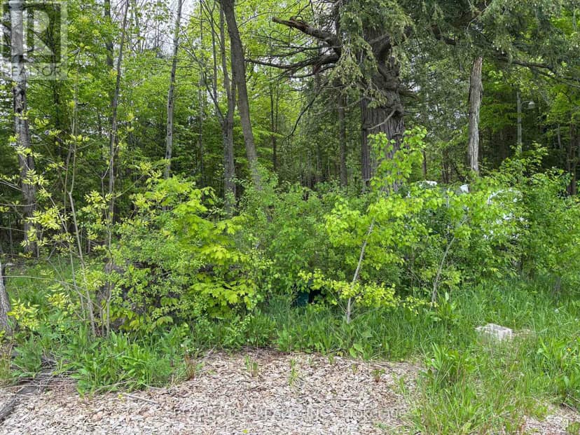 104264 Grey Road 18 — photo 3 of 17