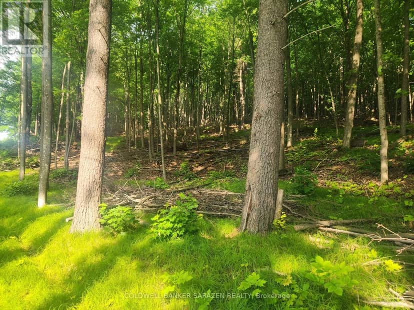 1680 Calabogie Road — photo 12 of 15