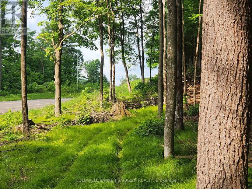 1680 Calabogie Road, McNab/Braeside, photo 2