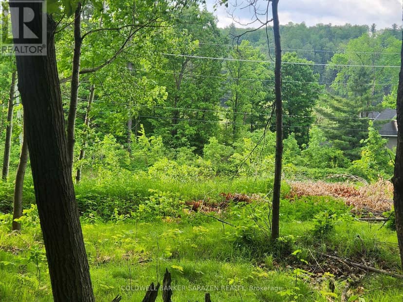 1680 Calabogie Road, McNab/Braeside, photo 4