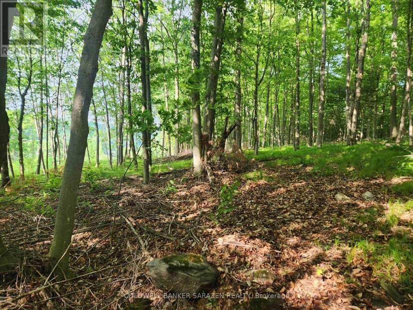 1680 Calabogie Road, McNab/Braeside, photo 7