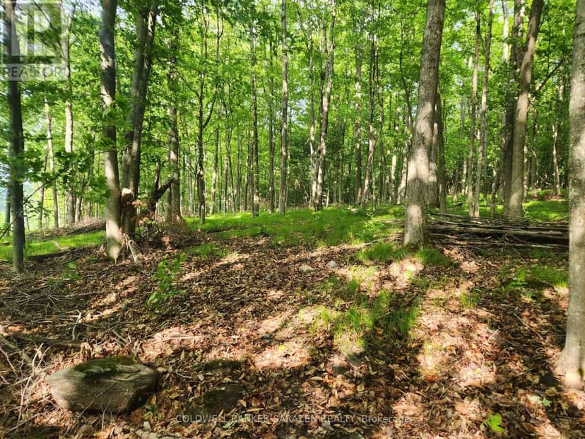 1680 Calabogie Road, McNab/Braeside, photo 8