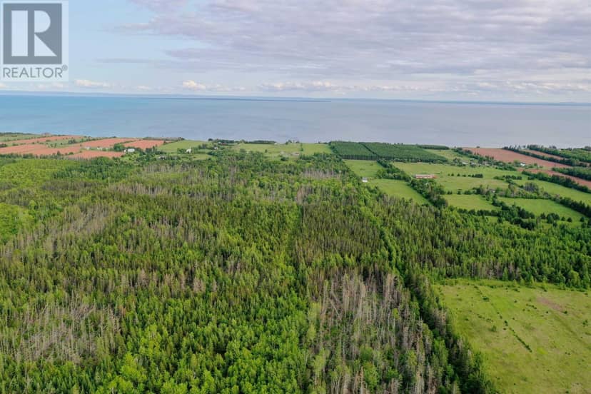 Acreage SHORE Road — photo 7 of 8