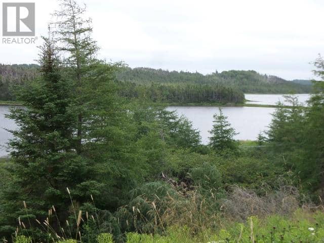 Lot 1 Junction Pond Unit#LOT 1, Whitbourne, photo 4