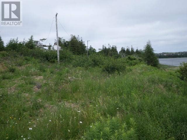 Lot 1 Junction Pond Unit#LOT 1, Whitbourne, photo 6