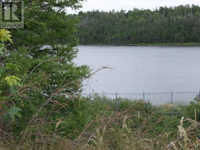Lot 2 Junction Pond Unit#LOT 2, Whitbourne, photo 3