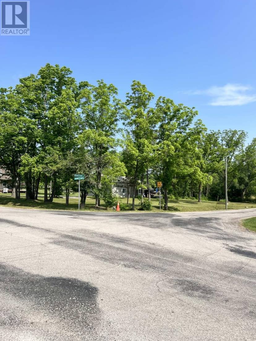 Lot 5 Centre Street S, Brant, photo 4