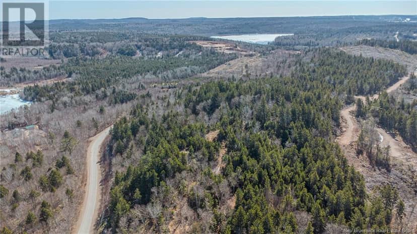 LOT Bluff Road — photo 11 of 12