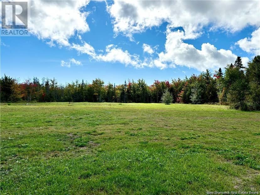 2.96 Acres Principale Street — photo 2 of 3