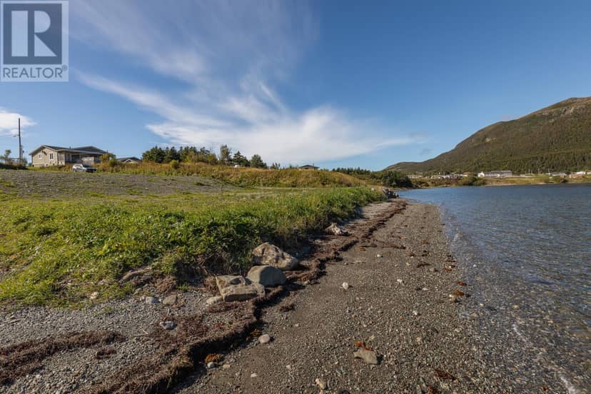 195 Main Street, Lark Harbour, photo 5