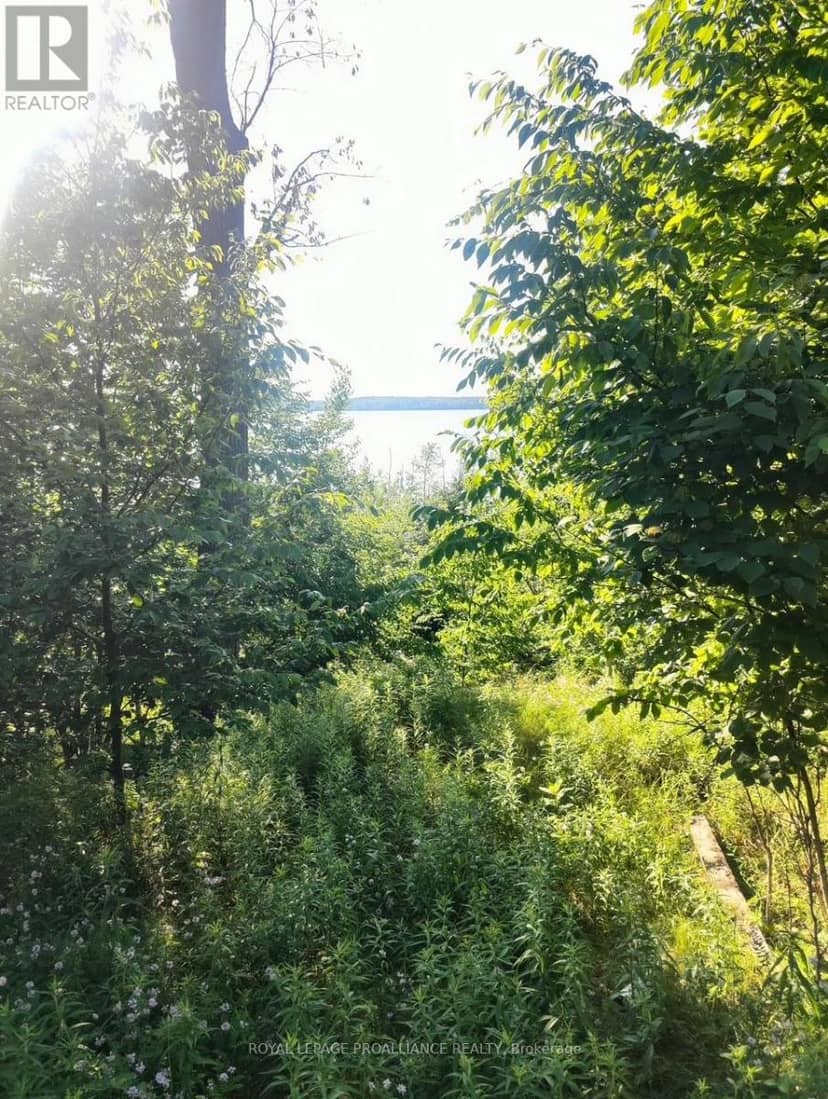 621A Cook Road, Marmora and Lake, photo 4