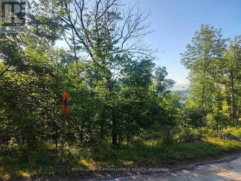 621A Cook Road, Marmora and Lake, photo 7