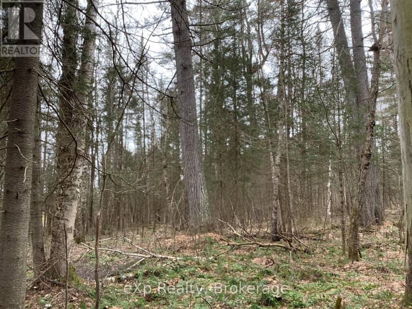 Con 1 Lot 12, Parry Sound Remote Area, photo 6