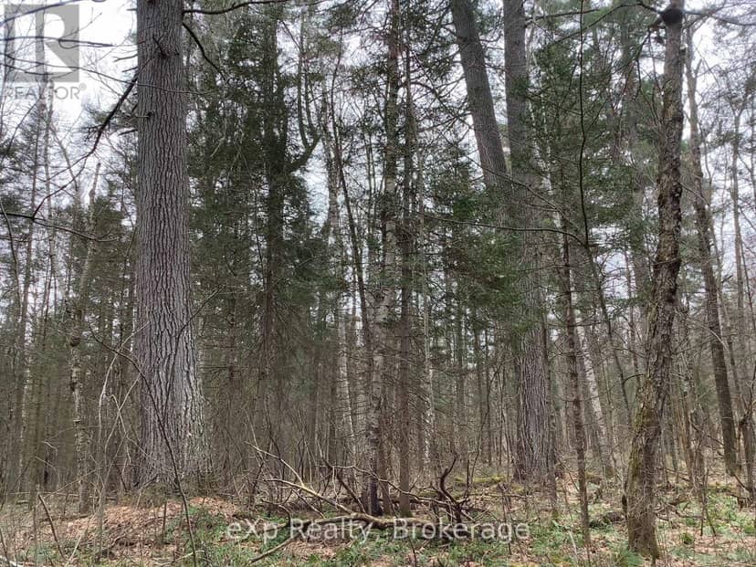 Con 1 Lot 12, Parry Sound Remote Area, photo 7