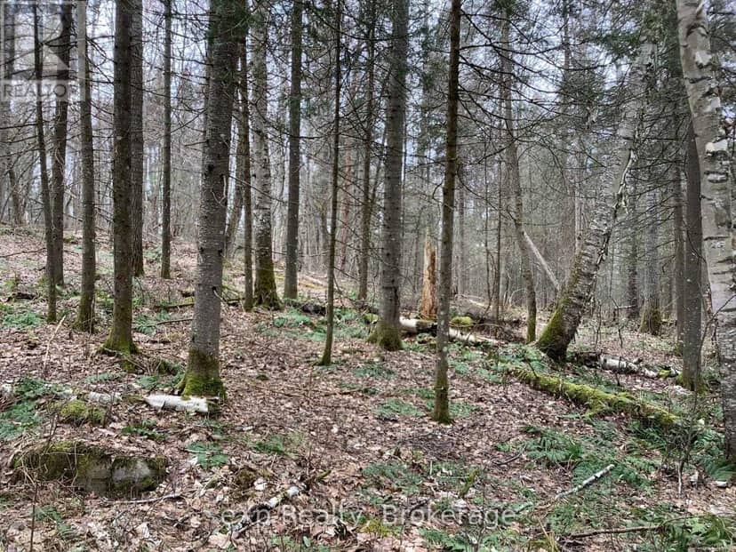 Con 1 Lot 12, Parry Sound Remote Area, photo 8