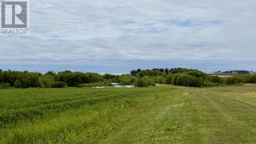 1069 Rte 10, Augustine Cove, photo 7