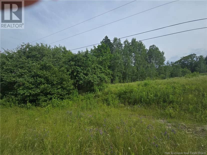 2360 Rte 118 Hwy — photo 4 of 18