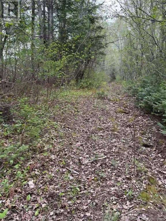 14 Acres Islandview Drive — photo 2 of 5