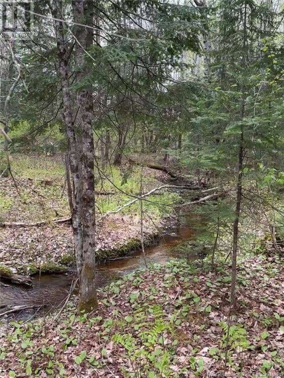 14 Acres Islandview Drive — photo 3 of 5