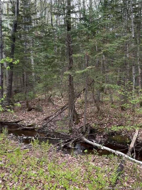 14 Acres Islandview Drive — photo 4 of 5