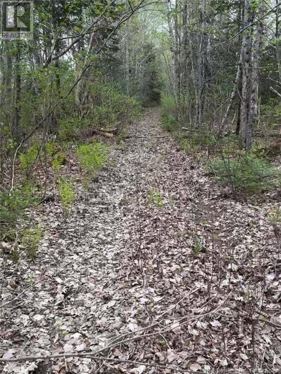 14 Acres Islandview Drive — photo 5 of 5