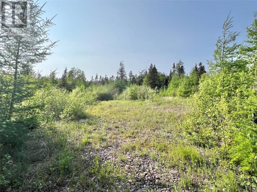 437 Main Street, Northern Arm