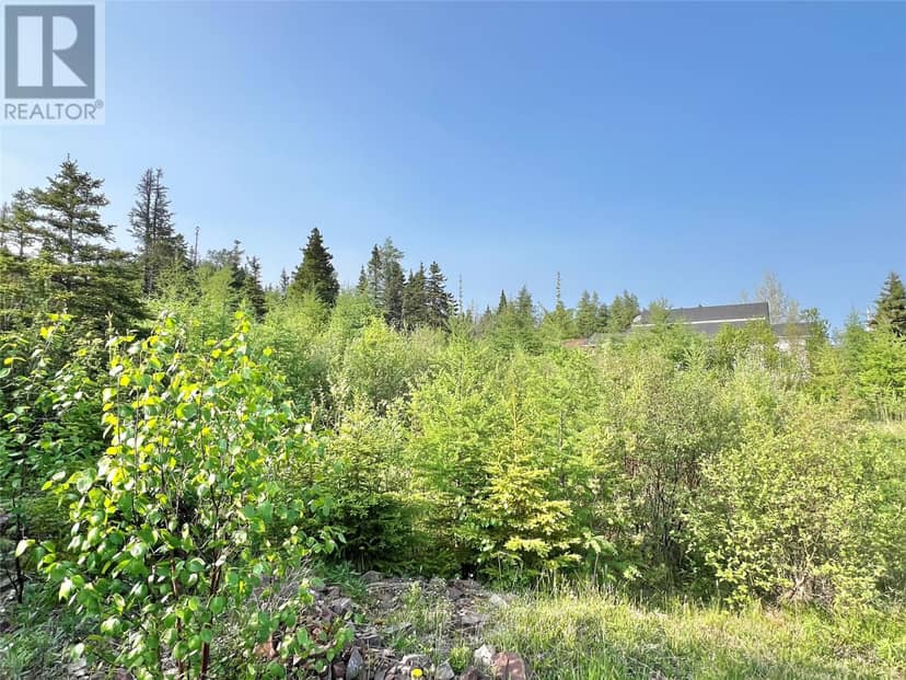 437 Main Street, Northern Arm, photo 8