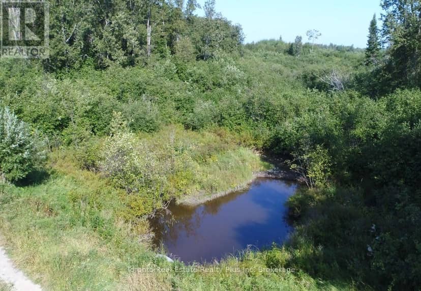 Pl 4769 & Pl 17474 Con 2 Playfair, Black River-Matheson, photo 6