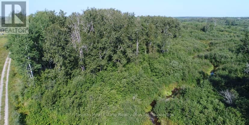 Pl 4769 & Pl 17474 Con 2 Playfair, Black River-Matheson, photo 7