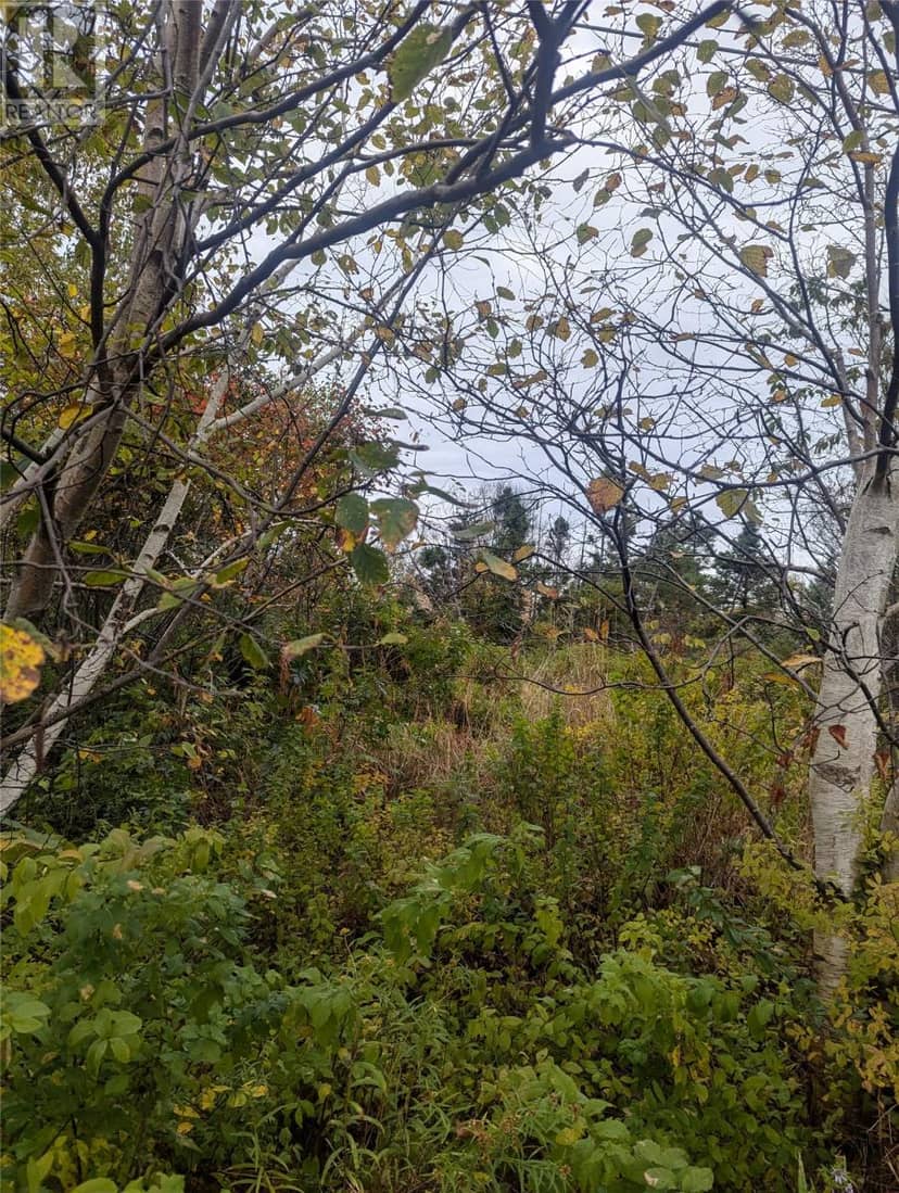 6-10 Parsons Place — photo 1 of 5
